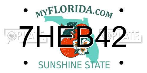 7HEB42 Florida License Plate