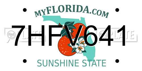 7HFV641 Florida License Plate