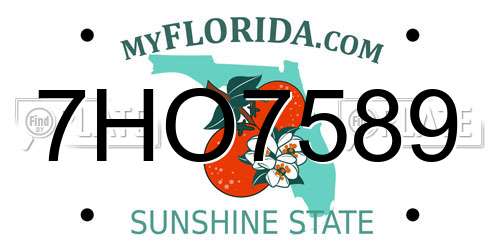 7HO7589 Florida License Plate