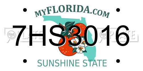 7HS3016 Florida License Plate