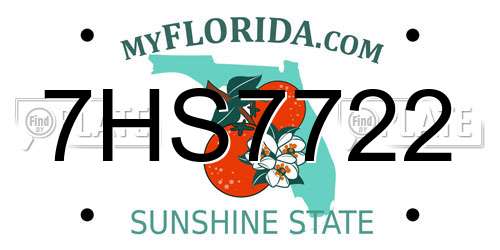 7HS7722 Florida License Plate