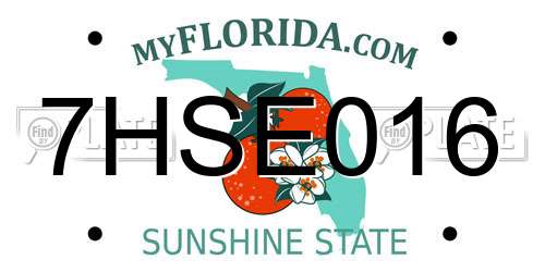 7HSE016 Florida License Plate