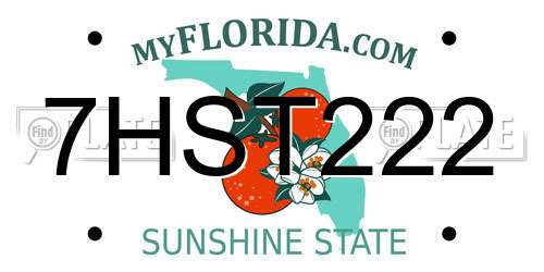 7HST222 Florida License Plate