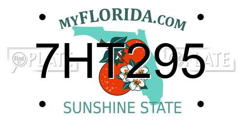 7HT295 Florida License Plate