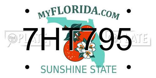 7HT795 Florida License Plate