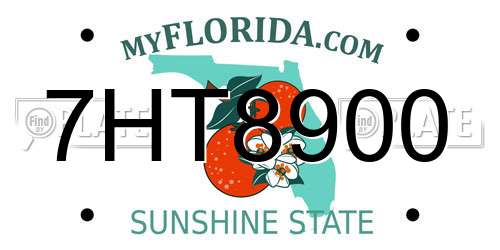 7HT8900 Florida License Plate