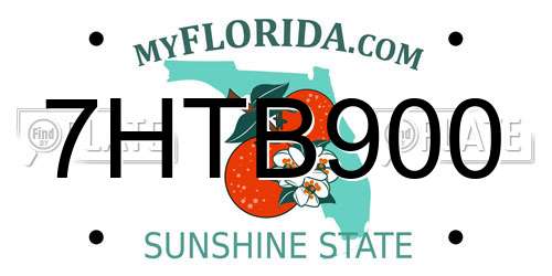 7HTB900 Florida License Plate