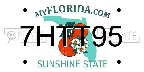 7HTT95 Florida License Plate