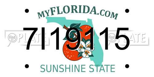 7I19115 Florida License Plate