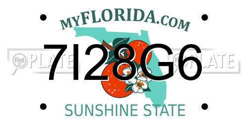 7I28G6 Florida License Plate