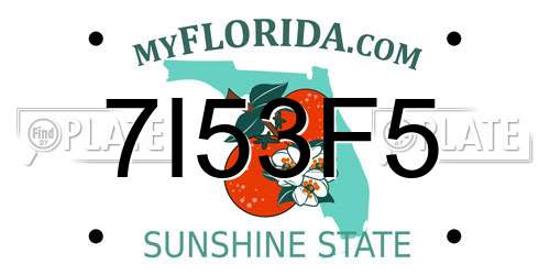 7I53F5 Florida License Plate
