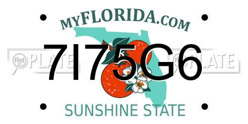 7I75G6 Florida License Plate
