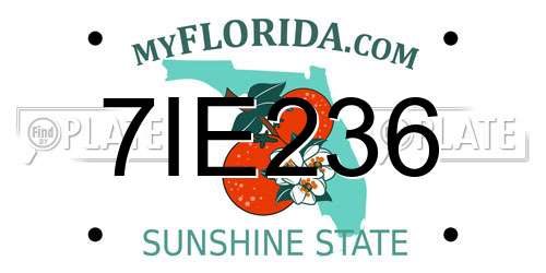 7IE236 Florida License Plate