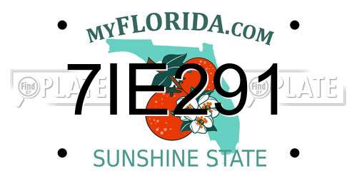 7IE291 Florida License Plate