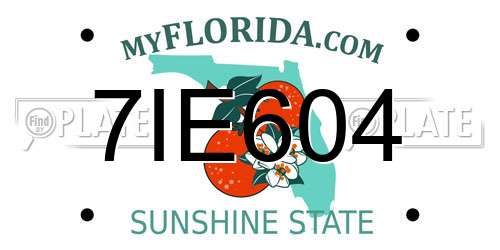 7IE604 Florida License Plate