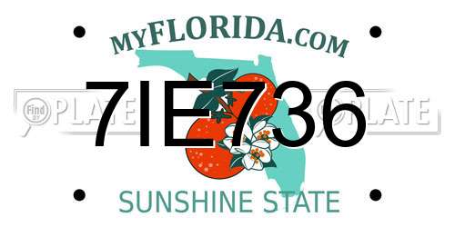 7IE736 Florida License Plate