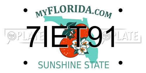 7IET91 Florida License Plate