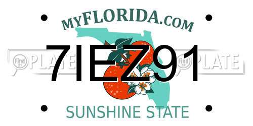 7IEZ91 Florida License Plate