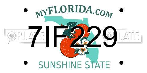 7IF229 Florida License Plate