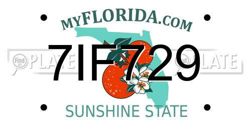 7IF729 Florida License Plate