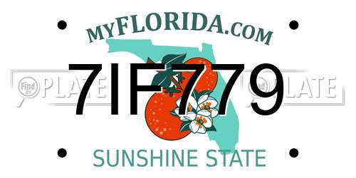 7IF779 Florida License Plate