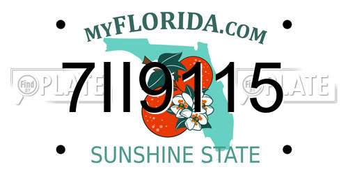 7II9115 Florida License Plate