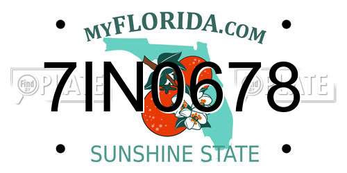 7IN0678 Florida License Plate