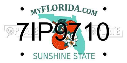 7IP9710 Florida License Plate