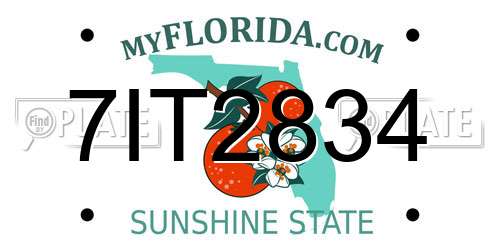 7IT2834 Florida License Plate