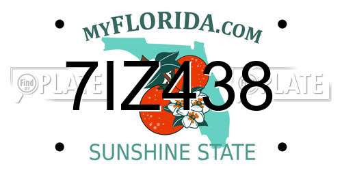 7IZ438 Florida License Plate