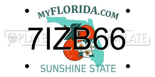 7IZB66 Florida License Plate
