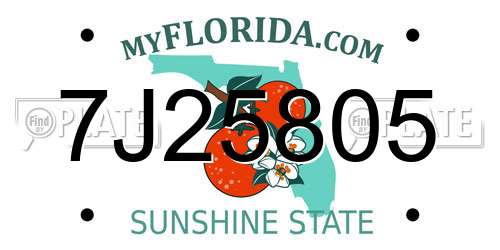 7J25805 Florida License Plate