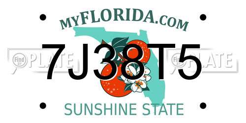 7J38T5 Florida License Plate