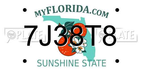 7J38T8 Florida License Plate