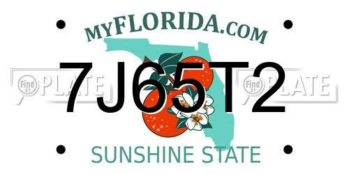 7J65T2 Florida License Plate