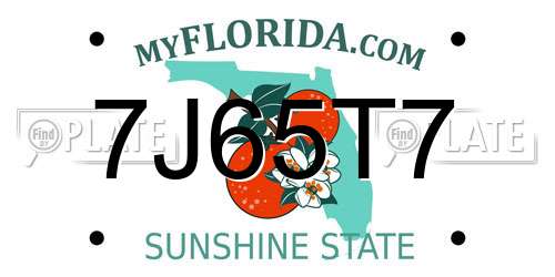 7J65T7 Florida License Plate
