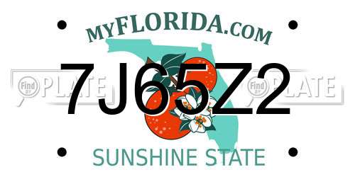 7J65Z2 Florida License Plate