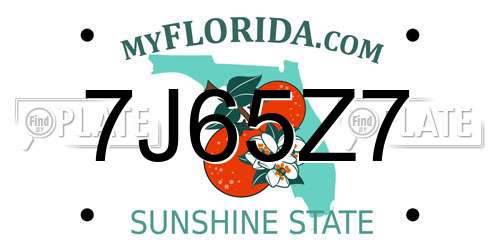 7J65Z7 Florida License Plate
