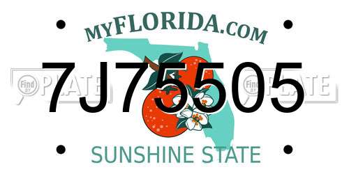 7J75505 Florida License Plate