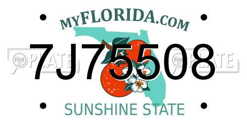 7J75508 Florida License Plate
