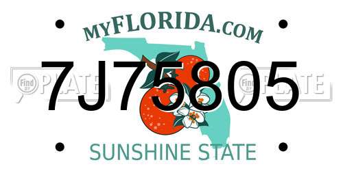 7J75805 Florida License Plate