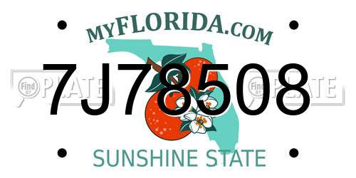 7J78508 Florida License Plate