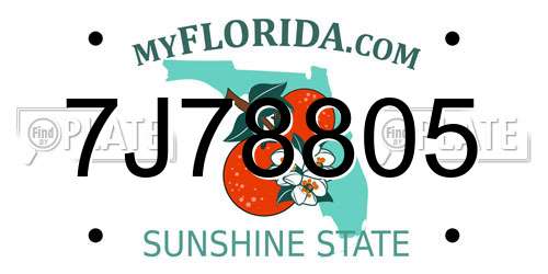 7J78805 Florida License Plate
