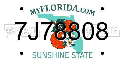 7J78808 Florida License Plate
