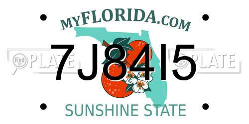 7J84I5 Florida License Plate