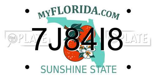 7J84I8 Florida License Plate