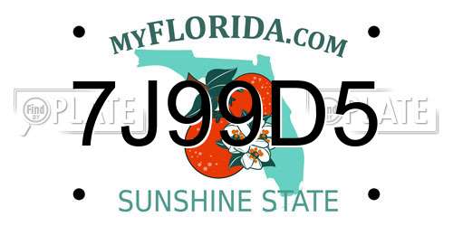 7J99D5 Florida License Plate