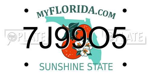 7J99O5 Florida License Plate