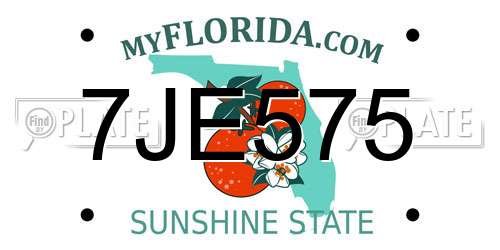 7JE575 Florida License Plate