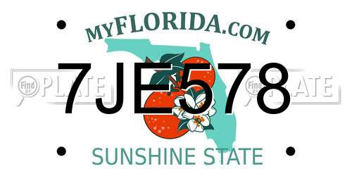 7JE578 Florida License Plate